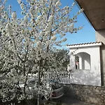 Antonio Апартаменты Шибеник